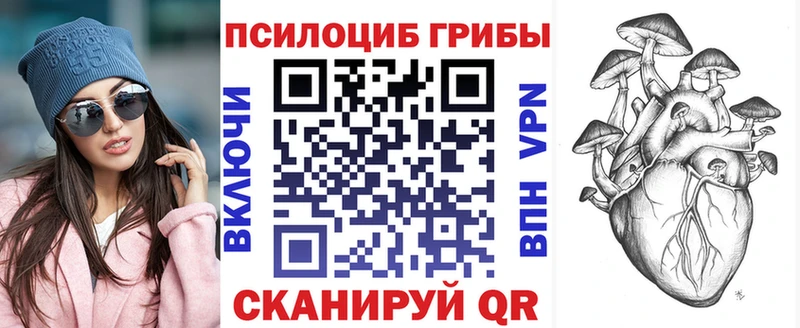 Псилоцибиновые грибы мухоморы  omg ONION  Выкса  где купить  